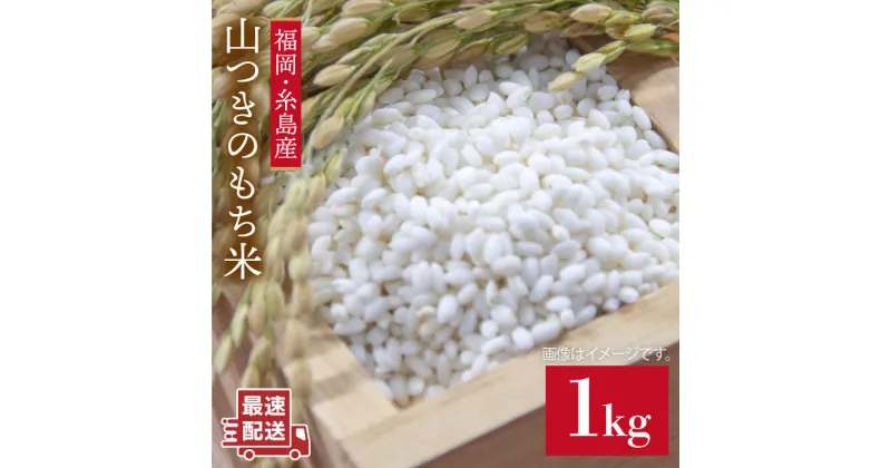 【ふるさと納税】福吉産・山つきのもち米 1kg ≪糸島≫【二丈赤米産直センター】[ABB027] 米 1kg 4000円 4千円 常温