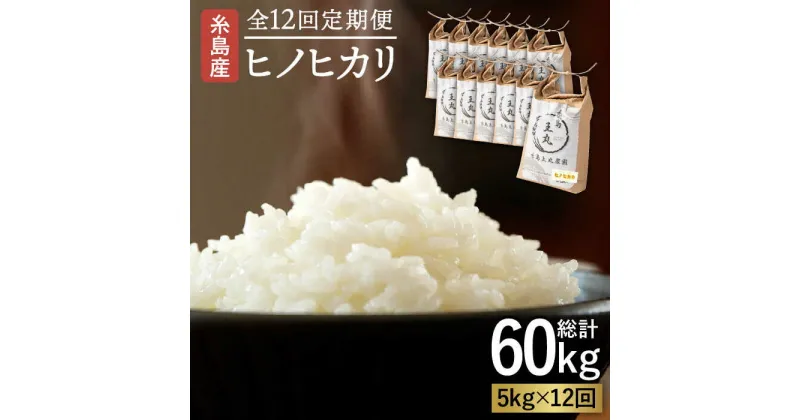 【ふるさと納税】【全12回定期便】糸島産 ヒノヒカリ 5kg × 12回 計60kg 糸島市 / 糸島王丸農園 ( 谷口汰一 )【いとしまごころ】 [AAZ013] 154000円 常温 100000円 10万