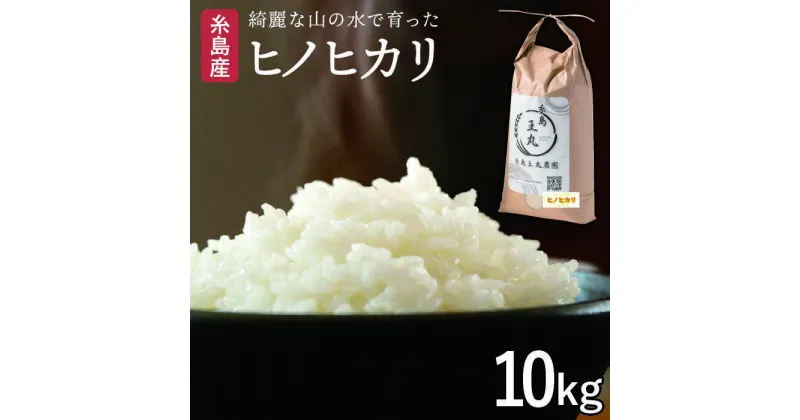 【ふるさと納税】 糸島産 ヒノヒカリ 10kg 糸島市 / 糸島王丸農園 ( 谷口汰一 )【いとしまごころ】[AAZ014] 20000円 2万円 常温