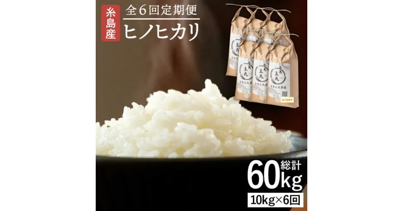 【ふるさと納税】【全6回定期便】糸島産 ヒノヒカリ 10kg × 6回 糸島市 / 糸島王丸農園 ( 谷口汰一 )【いとしまごころ】 [AAZ016] 119000円 常温 100000円 10万