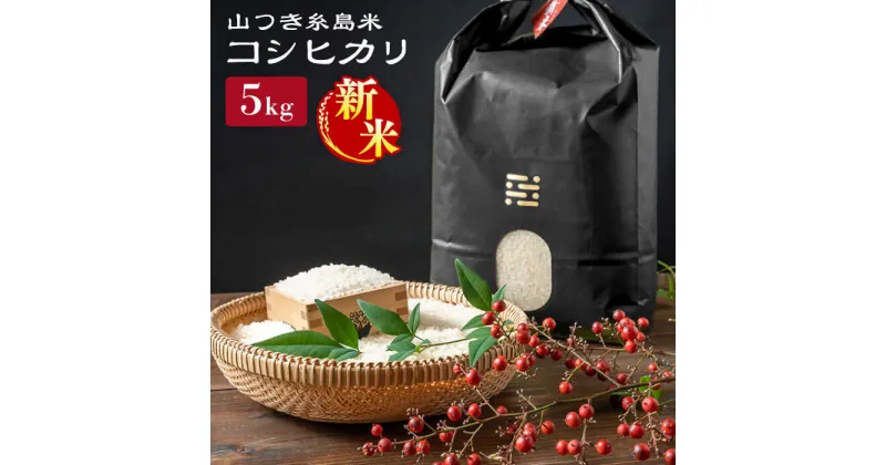 【ふるさと納税】農薬不使用 山つき 糸島米 5kg（コシヒカリ）《糸島》【itoshimacco《(株)やました》】 [ARJ015] 19000円 1万9千円 常温 いとしまっこ