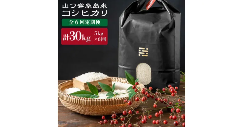 【ふるさと納税】【全6回定期便】農薬不使用 山つき 糸島米 5kg（コシヒカリ）《糸島》【itoshimacco《(株)やました》】 [ARJ016] 108000円 10万8千円 常温 いとしまっこ