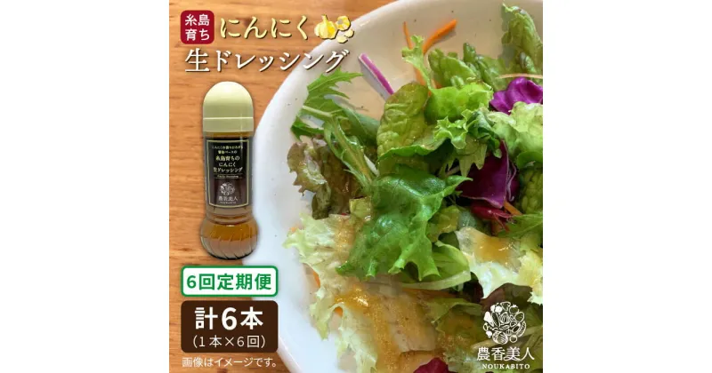 【ふるさと納税】【全6回定期便】糸島そだちのにんにく 生ドレッシング（285ml×1本×6回）《糸島》【農香美人】 [AAG037] 31000円