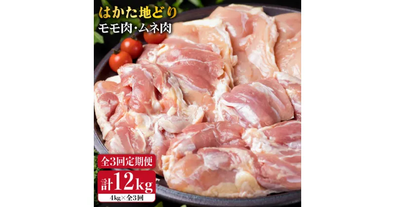 【ふるさと納税】【全3回定期便】はかた地どり もも肉 2kg & むね肉 2kg 合計4kg セット 糸島【糸島ミートデリ工房】 [ACA157] 83000円