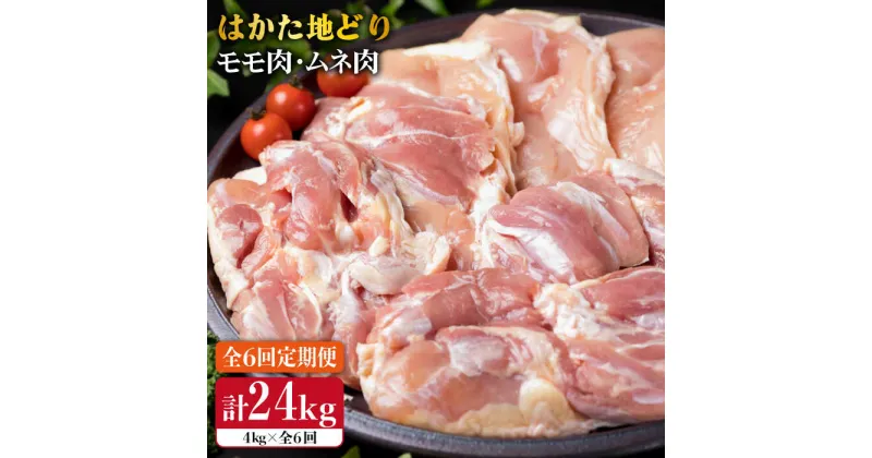 【ふるさと納税】【全6回定期便】はかた地どり もも肉 2kg & むね肉 2kg 合計4kg セット 糸島【糸島ミートデリ工房】[ACA158] 165000円 100000円 10万