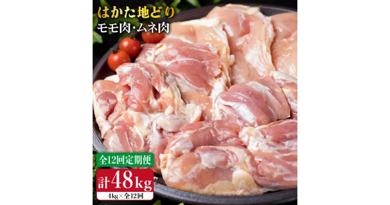 【ふるさと納税】【全12回定期便】はかた地どり もも肉 2kg & むね肉 2kg 合計4kg セット 糸島【糸島ミートデリ工房】 [ACA159] 330000円 300000円 30万