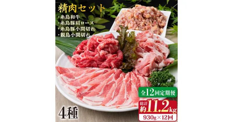 【ふるさと納税】【全12回定期便】牛・豚・鶏 日常使い セット 930g（2〜3人前・4種） 糸島市 / 糸島ミートデリ工房 [ACA195] 精肉 115000円 100000円 10万