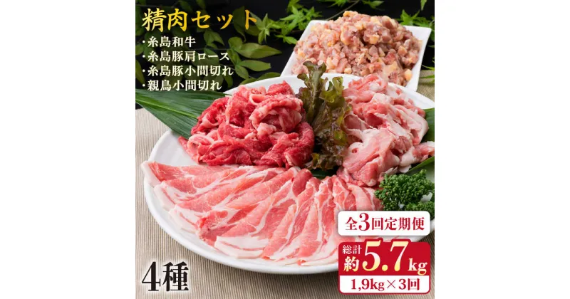 【ふるさと納税】【全3回定期便】牛・豚・鶏 日常使い セット 1,930g （4〜5人前・4種） 糸島市 / 糸島ミートデリ工房 [ACA197] 精肉 49000円