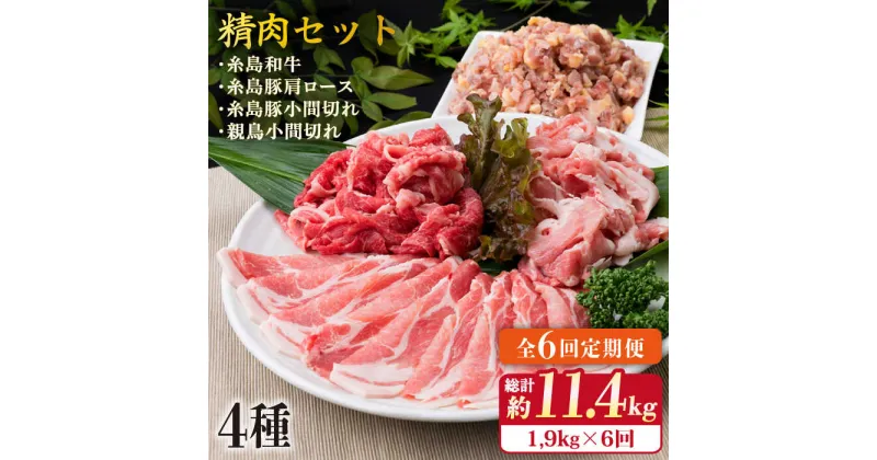 【ふるさと納税】【全6回定期便】牛・豚・鶏 日常使い セット 1,930g （4〜5人前・4種） 糸島市 / 糸島ミートデリ工房 [ACA198] 精肉 98000円