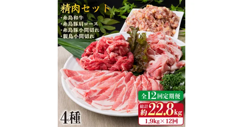 【ふるさと納税】【全12回定期便】牛・豚・鶏 日常使い セット 1,930g （4〜5人前・4種） 糸島市 / 糸島ミートデリ工房 [ACA199] 精肉 195000円 100000円 10万