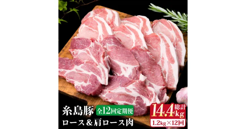 【ふるさと納税】【全12回定期便】糸島豚 ロース肉 6枚 肩ロース肉 5枚 計11枚セット《糸島》【糸島ミートデリ工房】 [ACA231] 115000円 100000円 10万