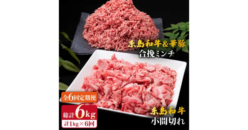 【ふるさと納税】【全6回定期便】糸島和牛 小間切れ 500g ＆ 糸島和牛 糸島豚 合挽 ミンチ 500g 計1kg 糸島市 / 糸島ミートデリ工房 [ACA238] 58000円 黒毛和牛 冷凍配送