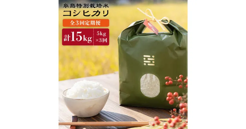 【ふるさと納税】【全3回定期便】糸島特別栽培米コシヒカリ5kg《糸島》【itoshimacco《(株)やました》】 [ARJ025] 48000円 常温 いとしまっこ