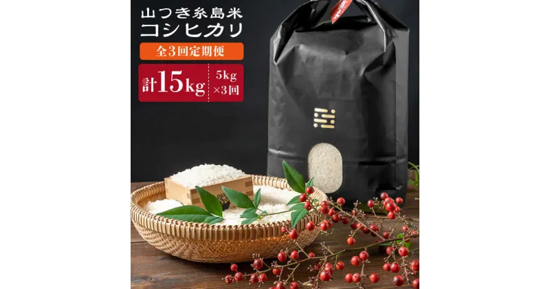 【ふるさと納税】【全3回定期便】栽培期間中農薬不使用 山つき 糸島米 5kg（コシヒカリ）《糸島》【itoshimacco《(株)やました》】 [ARJ035] 54000円 いとしまっこ