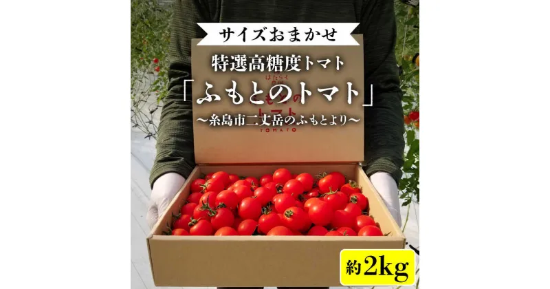 【ふるさと納税】【先行予約】【ふもとのトマト】 サイズ おまかせ 約2kg （ 専用箱入り ）【2024年11月以降順次発送】 糸島市 / 株式会社 さいかい [AFL002] 9000円 常温