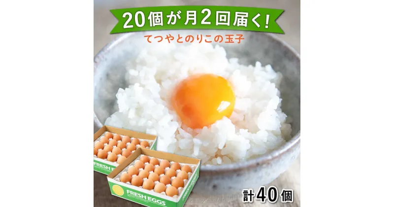【ふるさと納税】卵 《20個 × 月2回 1ヶ月コース》 卵 てつやとのりこの玉子 全2回定期便 糸島市 / 板垣ファーム [AWD011] 14000円 常温