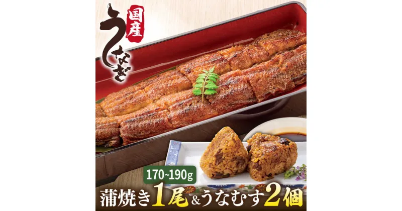 【ふるさと納税】蒲焼き 1尾 ＆ うなむす 2個 セット 糸島市 / 北ノ屋うなぎ [ACL006] うなぎ 国産 17000円