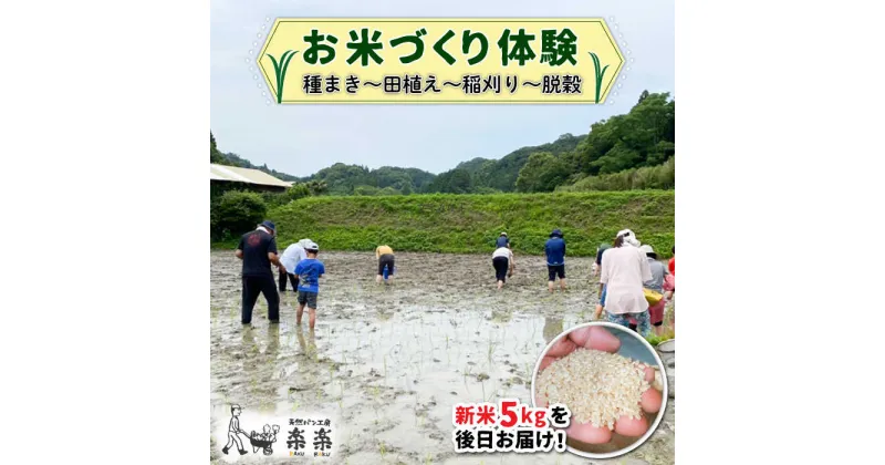 【ふるさと納税】お米づくり 体験チケット 糸島市 / 天然パン工房楽楽【いとしまごころ】 [AVC065] 米 体験 18000円