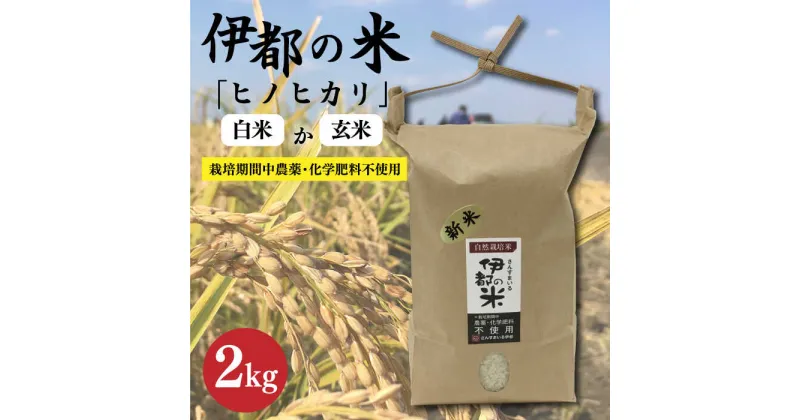 【ふるさと納税】【令和5年産 】伊都の米 （ ヒノヒカリ ） 2kg 糸島市 / 伊都福祉サービス協会 [APL001] 米 白米 玄米 9000円 9千円 常温