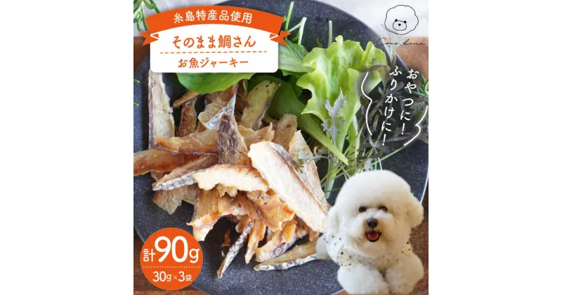 【ふるさと納税】【糸島特産品使用】 そのまま 鯛さん 3袋 糸島市 / 株式会社コバヤシ【coco.kina】 犬 おやつ [ASL002] 12000円