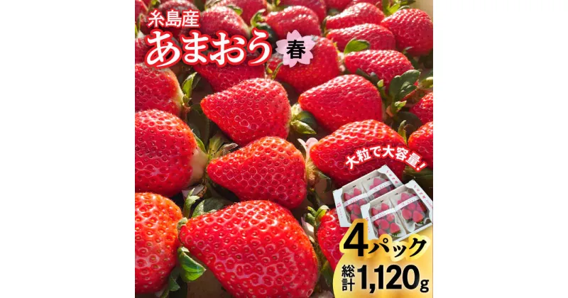 【ふるさと納税】【先行予約】(農家直送！) 糸島産 春 あまおう 280g × 4パック (DXまたはGサイズ) 【2025年1月下旬より順次発送】糸島市 / 後藤農園 [AML002] いちご イチゴ 苺 14000円 ギフト