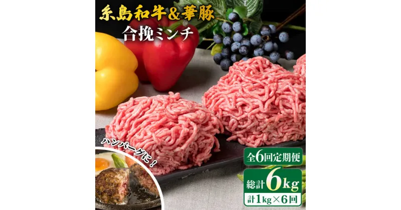 【ふるさと納税】【全6回定期便】糸島和牛 糸島豚 合挽ミンチ 500g×2p 計1kg 糸島ミートデリ工房 [ACA258] 58000円