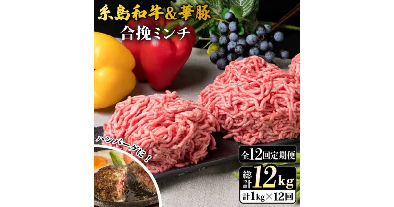 【ふるさと納税】【全12回定期便】糸島和牛 糸島豚 合挽ミンチ 500g×2p 計1kg 糸島ミートデリ工房 [ACA259] 115000円 100000円 10万