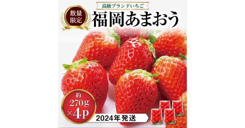 【ふるさと納税】【先行予約・2024年1月中旬より順次発送】【 期間限定 】 あまおう いちご 1,080g ( 約 270g × 4パック ) 糸島市 / 株式会社HSP-テクノ [AZL001] グランデ 等級 福岡県 12000円