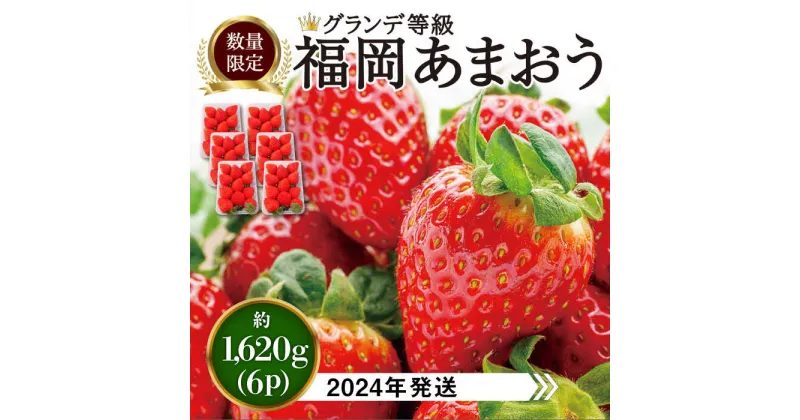 【ふるさと納税】【先行予約・2024年3月初旬より順次発送】【 期間限定 】 あまおう いちご 1,620g ( 約 270g × 6パック ) 糸島市 / 株式会社HSP-テクノ [AZL002] グランデ等級 福岡県産 15000円