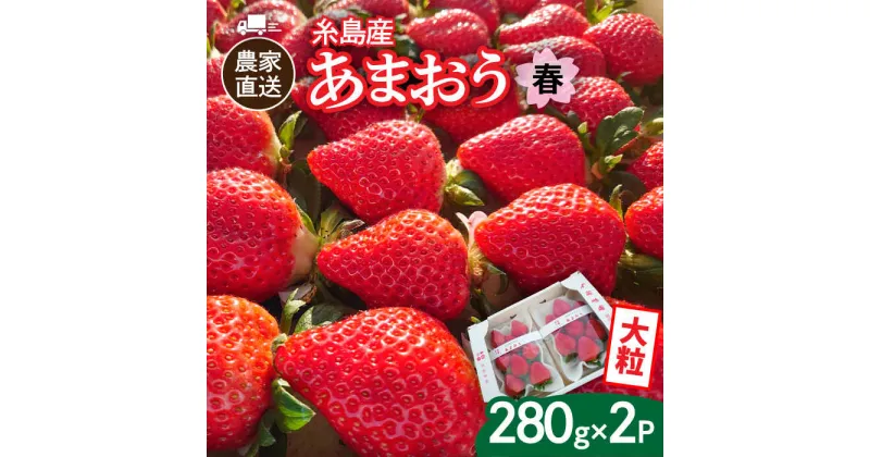 【ふるさと納税】【先行予約】(農家直送！) 糸島産 春 あまおう 280g × 2パック (DXまたはGサイズ) 【2025年2月上旬より順次発送】糸島市 / 後藤農園 [AML004] いちご イチゴ 苺 9000円 9千円 ギフト