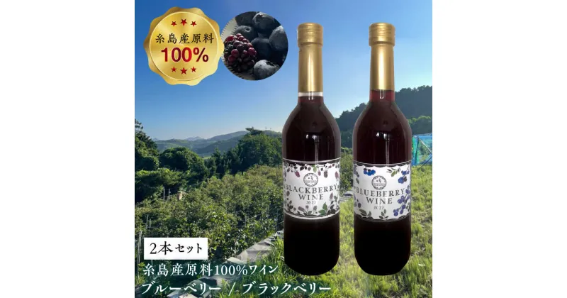 【ふるさと納税】糸島産 ブルーベリー ＆ ブラックベリー ワイン 720ml×2種 セット 糸島市 / HYM FARM [AHM001] 17000円