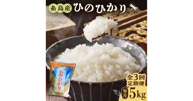 【ふるさと納税】【先行予約】【全3回定期便】糸島産 ひのひかり 5kg × 3回 糸島市 / 三島商店 [AIM008] 30000円【2024年11月以降順次発送】