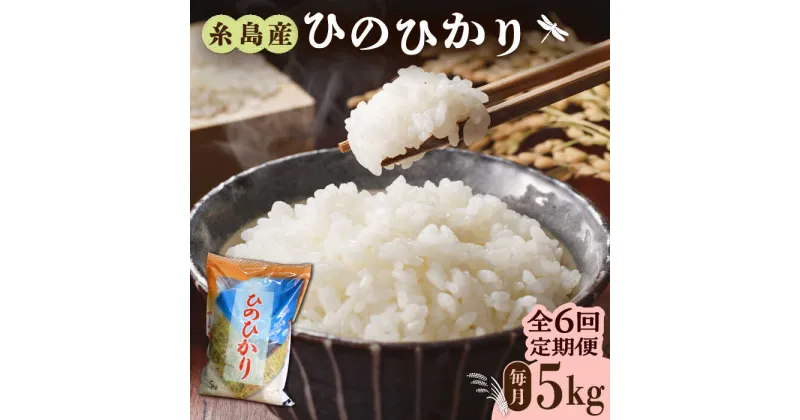 【ふるさと納税】【先行予約】【全6回定期便】糸島産 ひのひかり 5kg × 6回 糸島市 / 三島商店 [AIM009] 60000円【2024年11月以降順次発送】