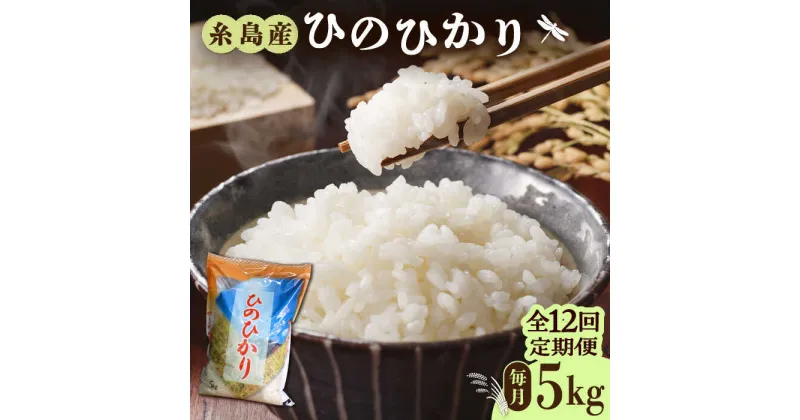 【ふるさと納税】【先行予約】【全12回定期便】糸島産 ひのひかり 5kg × 12回 糸島市 / 三島商店 [AIM010] 119000円 100000円 10万【2024年11月以降順次発送】