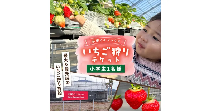 【ふるさと納税】【志摩イチゴハウス】いちご狩り チケット （ 小学生 1名様 分 ） 糸島市 / 株式会社 糸島農園 [APM002] 9000円 9千円 イチゴ狩り 苺狩り