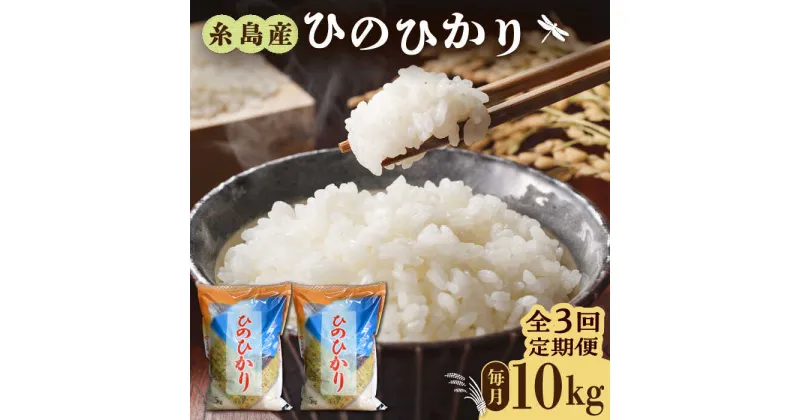 【ふるさと納税】【先行予約】【全3回定期便】糸島産 ひのひかり 10kg × 3回 糸島市 / 三島商店 [AIM014] お米 白米 52000円 常温【2024年11月以降順次発送】