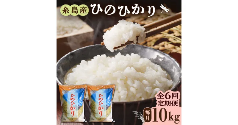 【ふるさと納税】【先行予約】【全6回定期便】糸島産 ひのひかり 10kg × 6回 糸島市 / 三島商店 [AIM015] お米 白米 104000円 100000円 10万 常温【2024年11月以降順次発送】