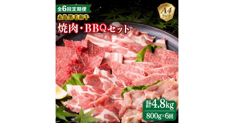 【ふるさと納税】【全6回定期便】焼肉・バーベキュー セット 計800g 牛モモ 牛バラ 豚バラ 豚肩ロース 鶏もも肉 糸島市 / 糸島ミートデリ工房 [ACA273] 106000円 100000円 10万