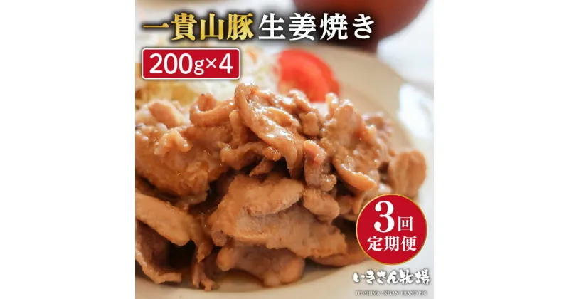 【ふるさと納税】【全3回定期便】焼くだけ定番おかず！一貴山豚 生姜焼き 4パック 糸島市 / いきさん牧場 [AGB016] 28000円