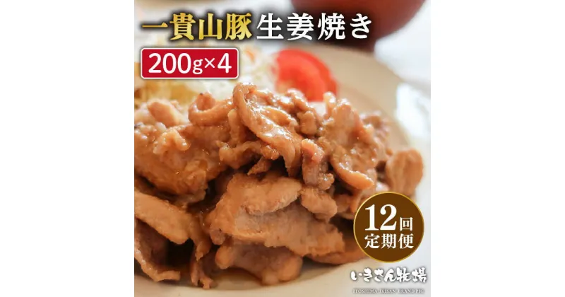 【ふるさと納税】【全12回定期便】焼くだけ定番おかず！一貴山豚 生姜焼き 4パック 糸島市 / いきさん牧場 [AGB018] 111000円 100000円 10万