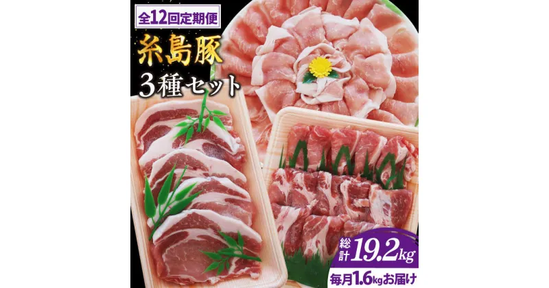 【ふるさと納税】【全12回定期便】糸島豚バラエティセット(とんかつ、肩ロース、しゃぶしゃぶ) トラヤミートセンター [AJD012] 192000円 100000円 10万