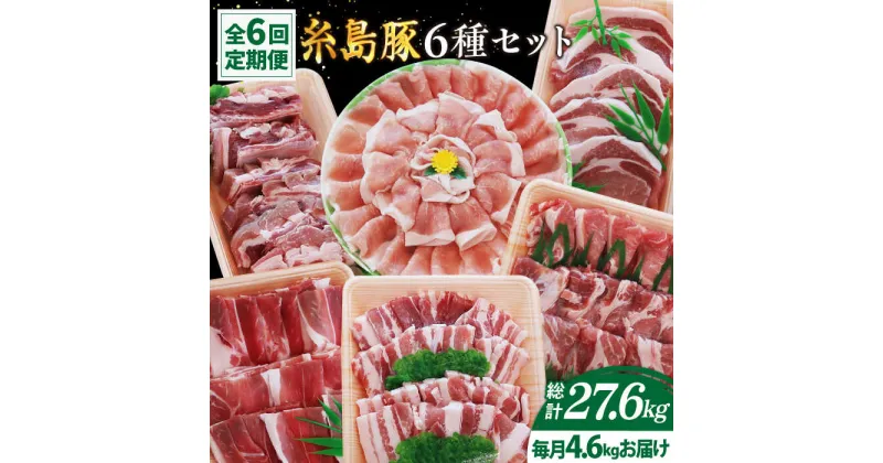 【ふるさと納税】【全6回定期便】合計4.6kg！糸島豚食べ尽くしセット(とんかつ、肩ロース、しゃぶしゃぶ、豚バラ、スペアリブ、小間切れ) 糸島 / トラヤミートセンター [AJD013] 190000円 19万円 100000円 10万