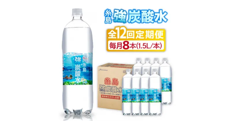 【ふるさと納税】【全12回定期便】強炭酸水 1.5L×8本 糸島市 / スターナイン 炭酸水 大容量 [ARM008] 72000円 常温