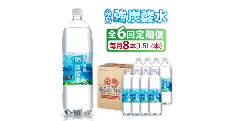 【ふるさと納税】【全6回定期便】強炭酸水 1.5L×8本 糸島市 / スターナイン 炭酸水 大容量 [ARM007] 36000円 常温