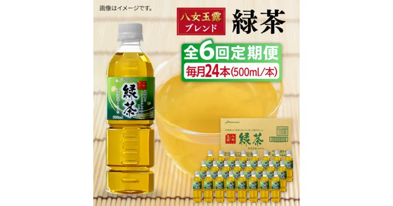 【ふるさと納税】【全6回定期便】八女 玉露入り 緑茶 500ml × 24本 糸島市 / スターナイン お茶 ペットボトル [ARM016] 48000円 常温