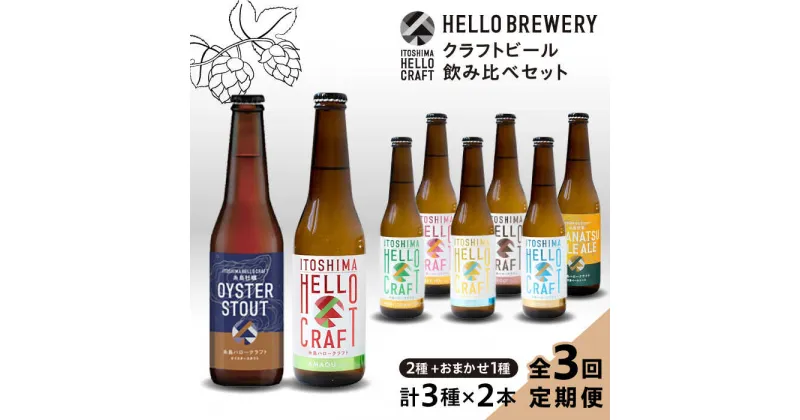 【ふるさと納税】【全3回定期便】【 3種 飲み比べ】糸島 クラフト ビール 瓶 詰め合わせ 6本 セット 糸島市 / HELLO BREWERY [AGM002] 地ビール ビール 50000円