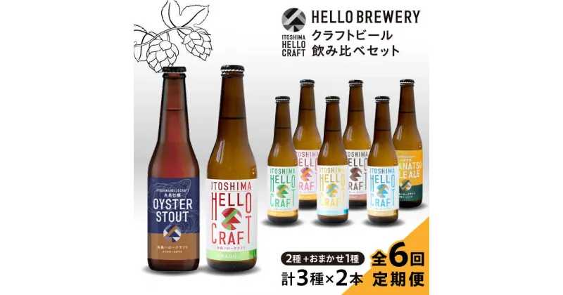 【ふるさと納税】【全6回定期便】【 3種 飲み比べ 】糸島 クラフト ビール 瓶 詰め合わせ 6本 セット 糸島市 / HELLO BREWERY [AGM003] 地ビール ビール 100000円