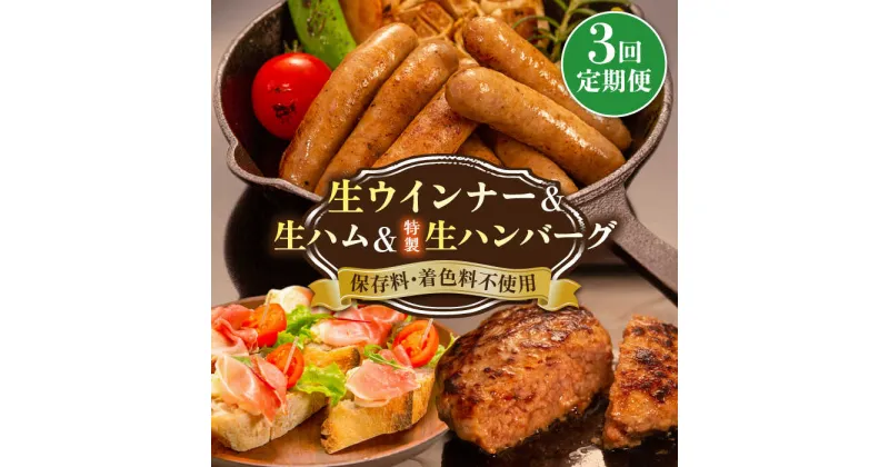 【ふるさと納税】【全3回定期便】生ウインナー 特製 生 ハンバーグ 生ハム 3種セット《糸島》【志摩スモークハウス】 [AOA029] 肉 ソーセージ 29000円