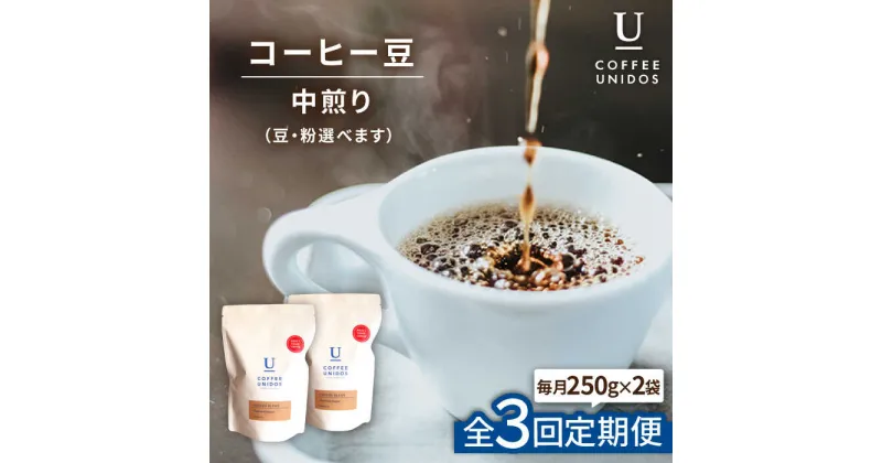 【ふるさと納税】【全3回定期便】中煎りコーヒー豆 ウニドスブレンド 250g×2袋 (豆・粉選べます) 糸島市 / COFFEE UNIDOS 珈琲/カフェ/コーヒー粉 [AQF021] 40000円 常温