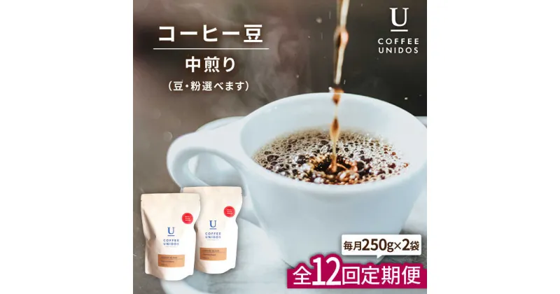 【ふるさと納税】【全12回定期便】中煎りコーヒー豆 ウニドスブレンド 250g×2袋 (豆・粉選べます) 糸島市 / COFFEE UNIDOS 珈琲/カフェ/コーヒー粉 [AQF023] 158000円 常温 100000円 10万